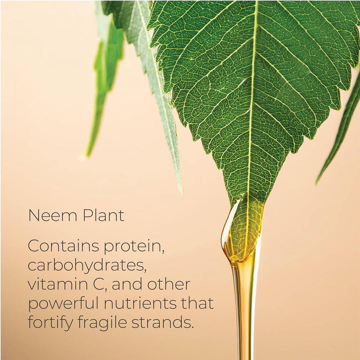 L'ANZA Healing Strength Neem Plant Silk Hair Serum, Neem Oil anti Frizz Damaged Hair Treatment, Nourishes, Strengthens, Boosts Shine, and Prevents Breakage from Split Ends, New Bottle (3.4 Fl Oz)